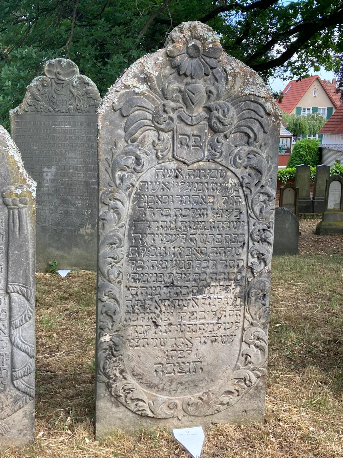 Öffentliche Führung über den Jüdischen Friedhof durch die Hebräisch-AG