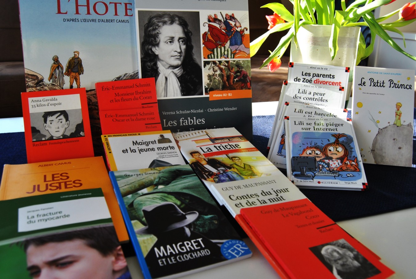 Französisch Lektüre